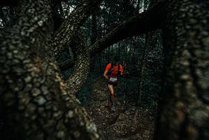 BIB: 
                            <button type="button" onclick="openModal(25689235)" class="btn btn-primary btn-sm float-right btn-popup" data-toggle="modal" data-target=".modal-high-quality">
                        <i class="fas fa-shopping-cart"></i> Add to Cart
                    </button>
                                            <button type="button" onclick="isThisMe(25689235, true)" class="btn btn-success btn-sm float-right btn-popup btn-isme hidden" data-toggle="tooltip" data-placement="bottom" title="นี่คือรูปของคุณใช่ไหม คลิกที่นี่เพื่อเอาเข้าอัลบั้ม">
                        <i class="fas fa-plus"></i> Add to album
                    </button>
                    <button type="button" onclick="isThisMe(25689235, false)" class="btn btn-warning btn-sm float-right btn-popup btn-isnotme hidden">
                        <i class="fas fa-ban"></i> Remove from album
                    </button>